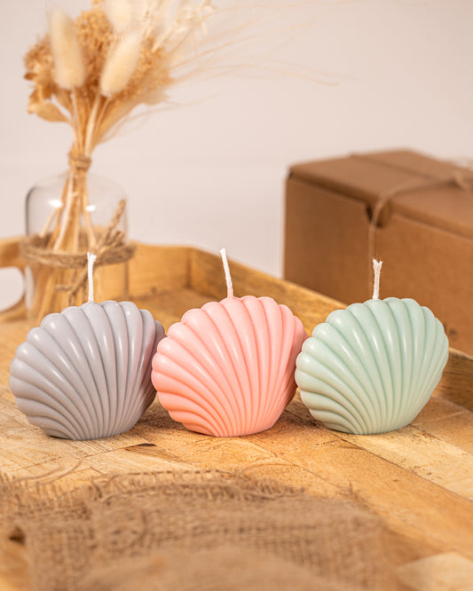 Shell Candle
